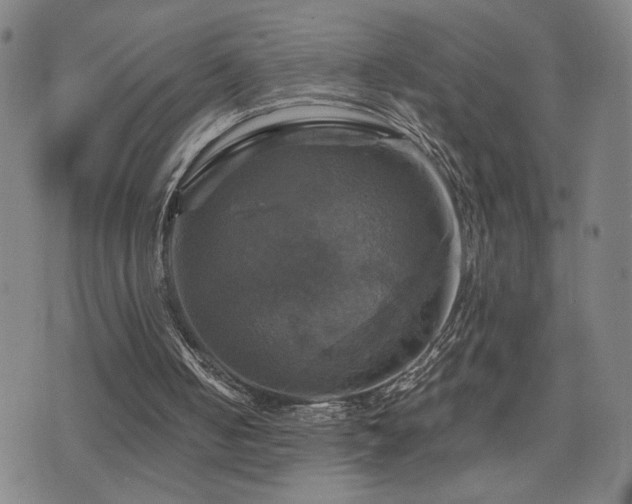 X0000075860050200609151236