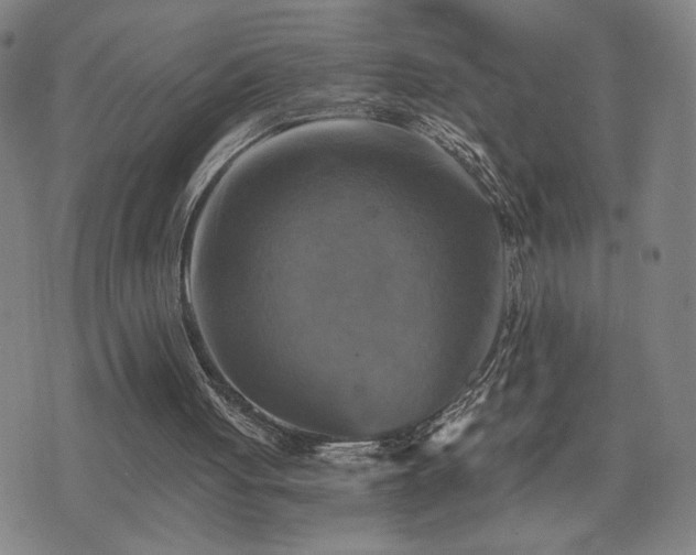 X0000075860051200609151236