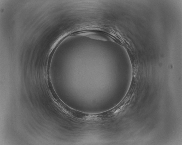 X0000075860052200609151236