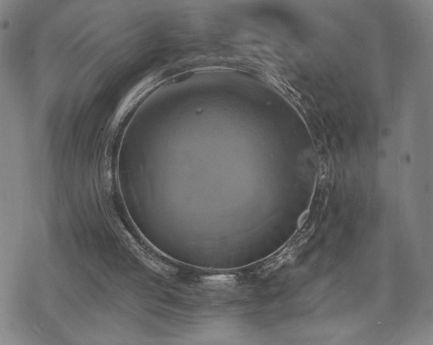 X0000075860053200609151236