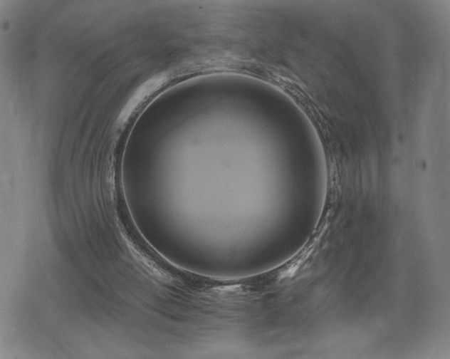 X0000075860054200609151236