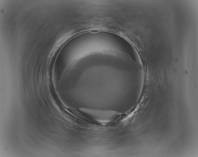 X0000075860055200609151236