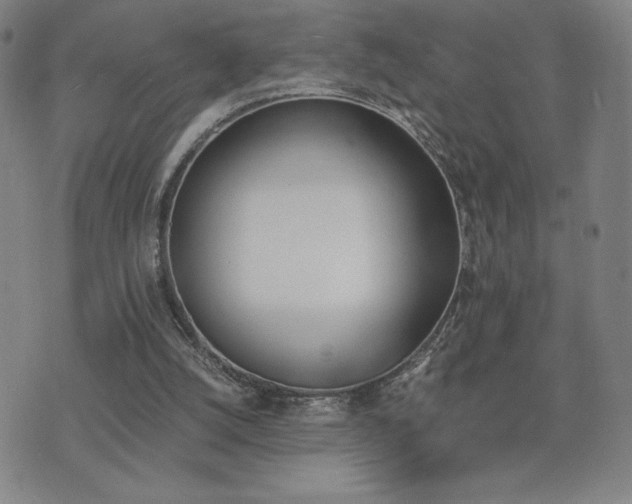 X0000075860056200609151236