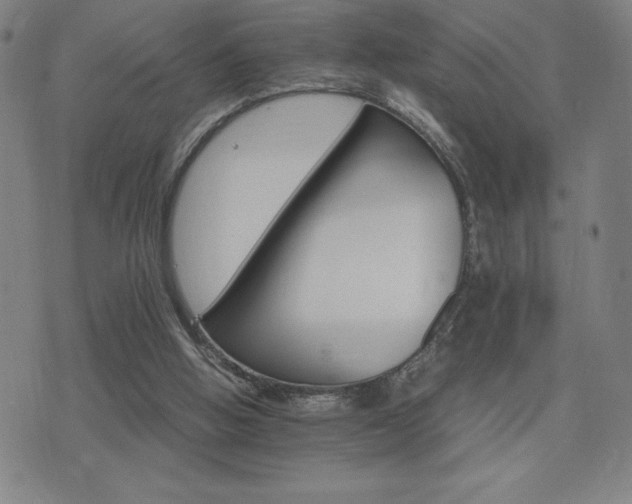 X0000075860058200609151236