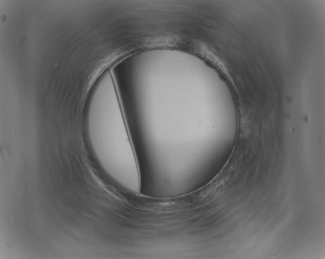 X0000075860059200609151236