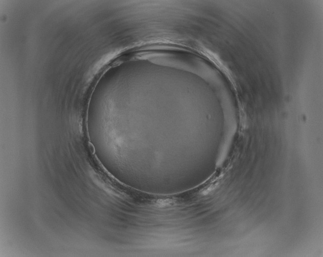 X0000075860060200609151236