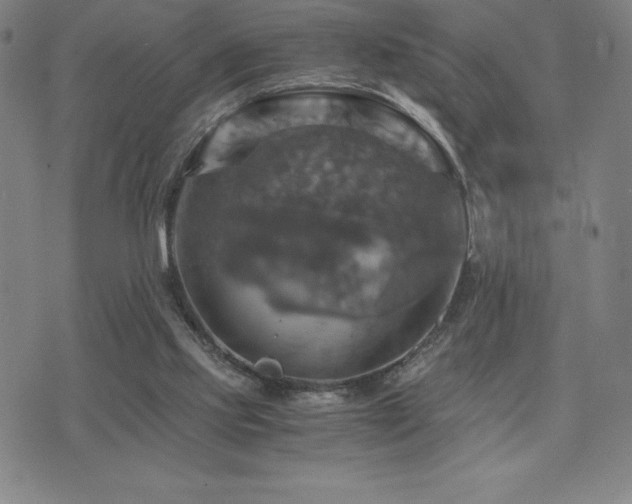 X0000075860061200609151236