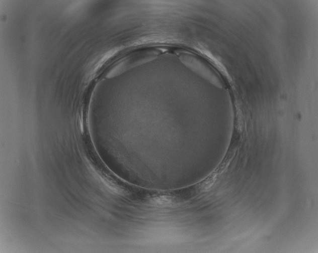 X0000075860062200609151236