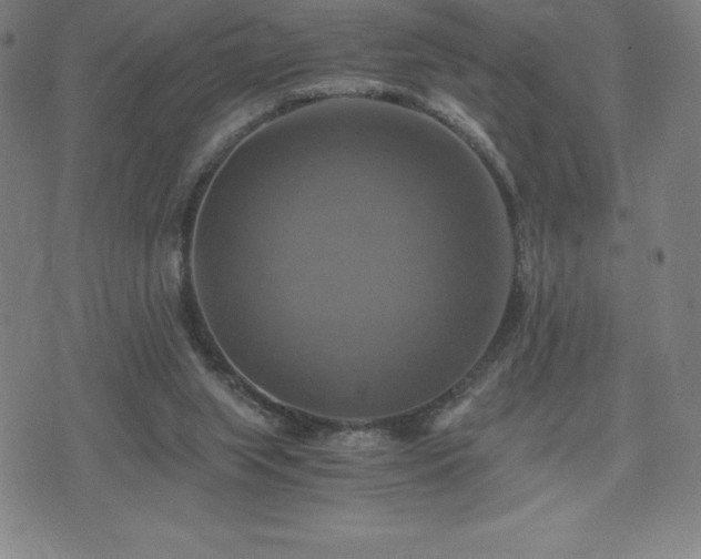 X0000075860063200609151236