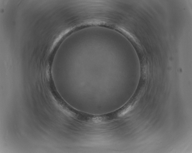 X0000075860064200609151236