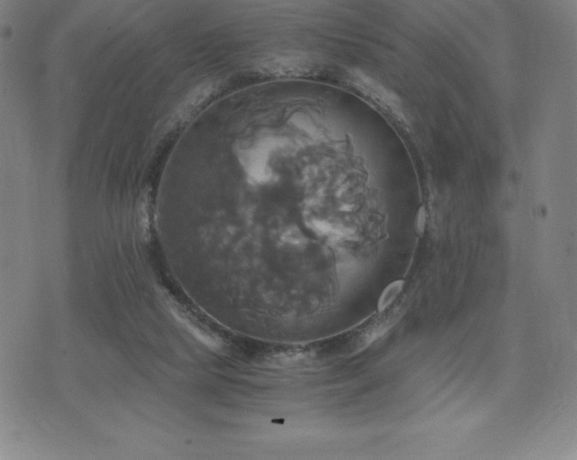 X0000075860065200609151236