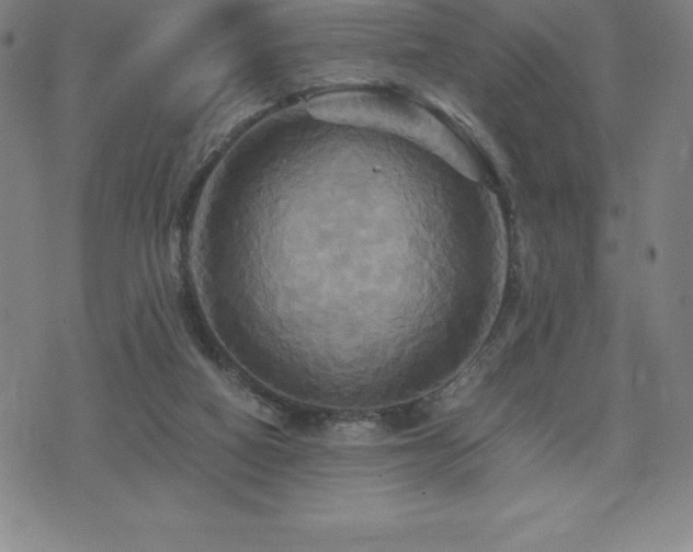 X0000075860066200609151236