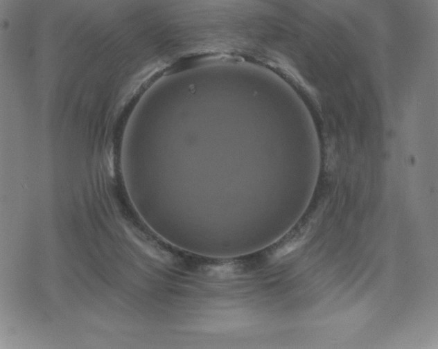 X0000075860068200609151236