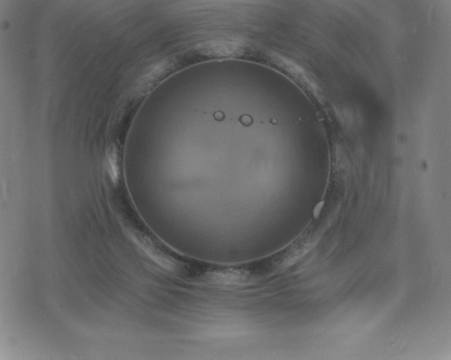 X0000075860069200609151236