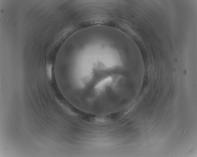 X0000075860070200609151236