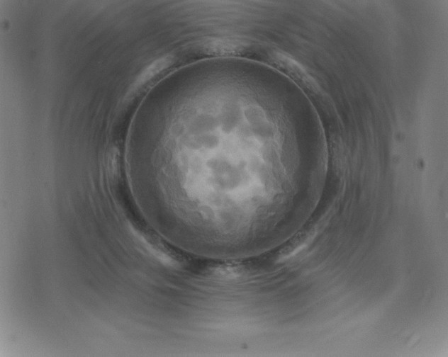 X0000075860071200609151236