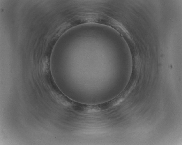 X0000075860073200609151236