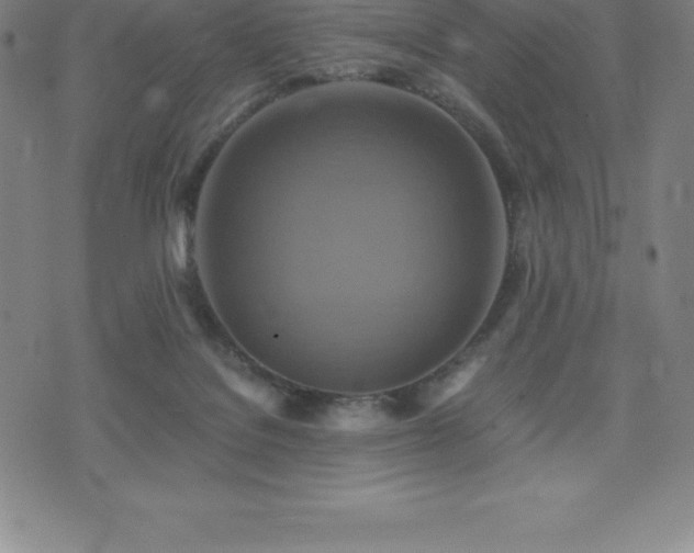 X0000075860076200609151236