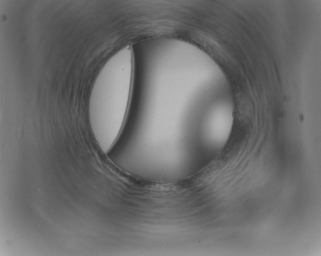 X0000075860077200609151237