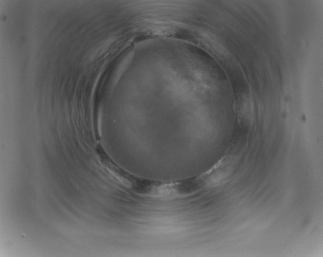 X0000075860078200609151237