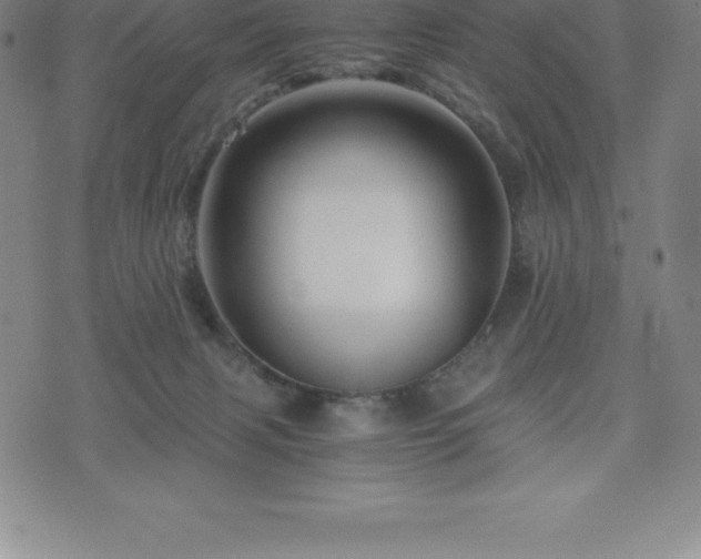 X0000075860079200609151237