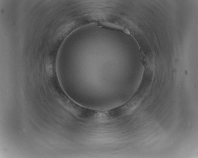 X0000075860080200609151237