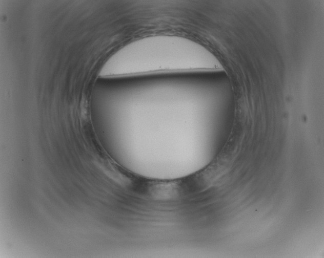 X0000075860081200609151237