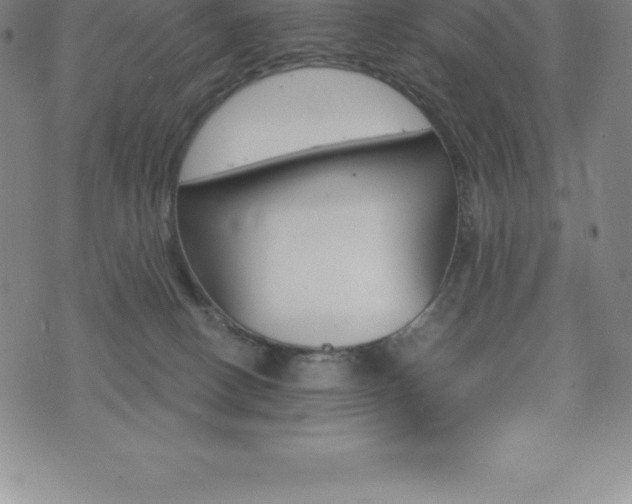 X0000075860082200609151237