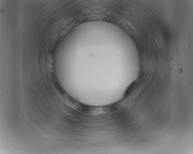 X0000075860083200609151237