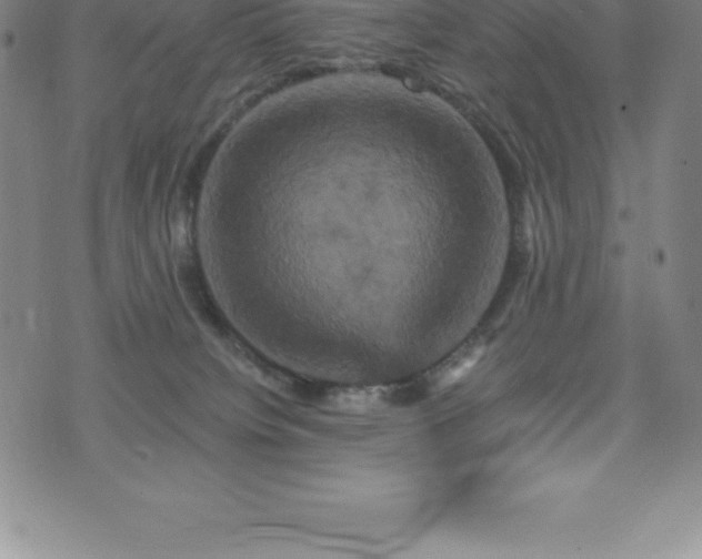 X0000075860084200609151237