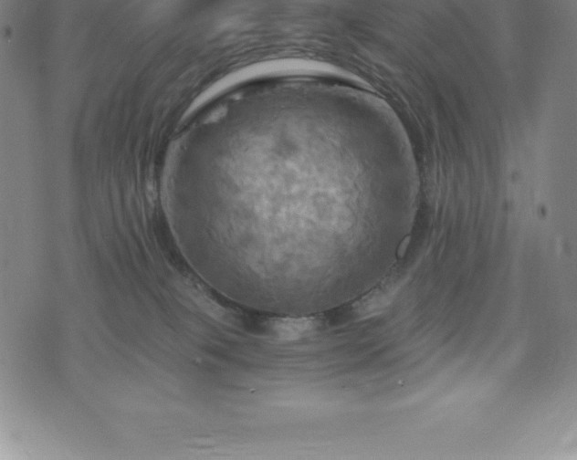 X0000075860085200609151237