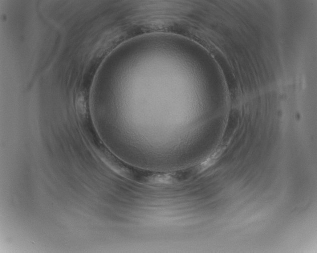 X0000075860086200609151237