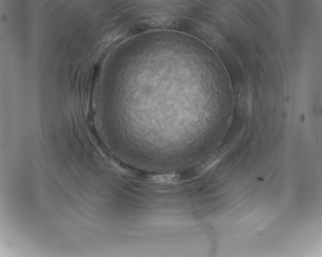 X0000075860089200609151237