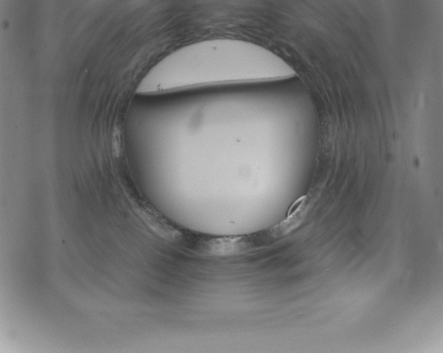 X0000075860090200609151237