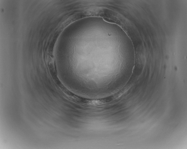 X0000075860091200609151237