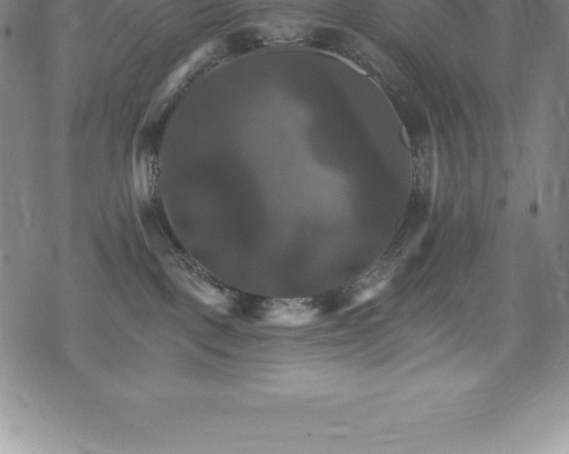 X0000075860093200609151237