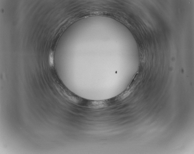 X0000075860095200609151237