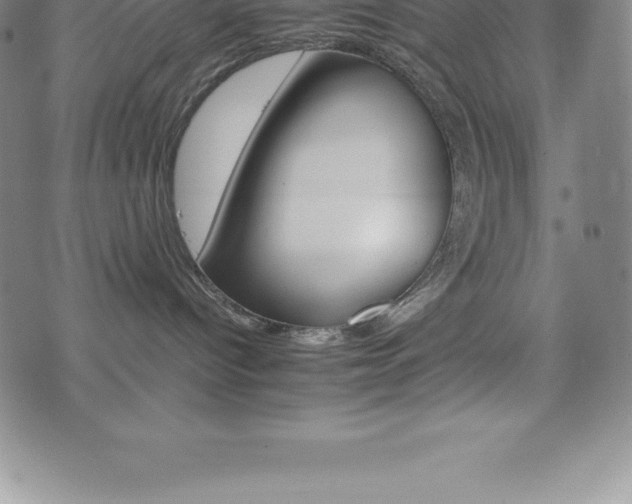 X0000075860096200609151237