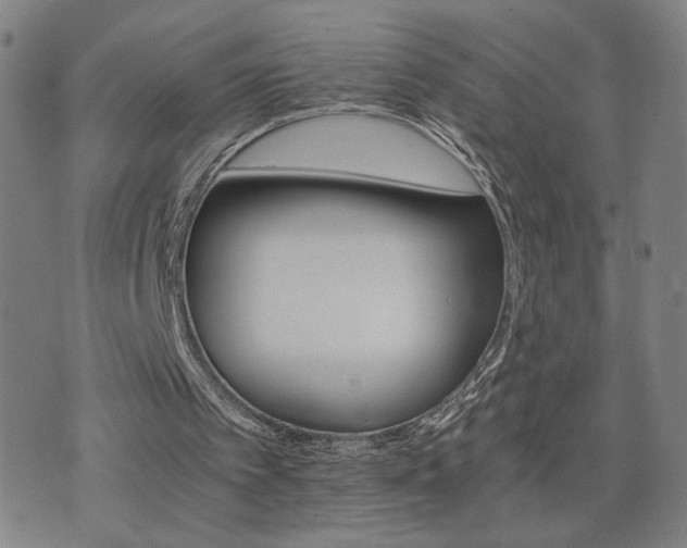 X0000075860097200609151236