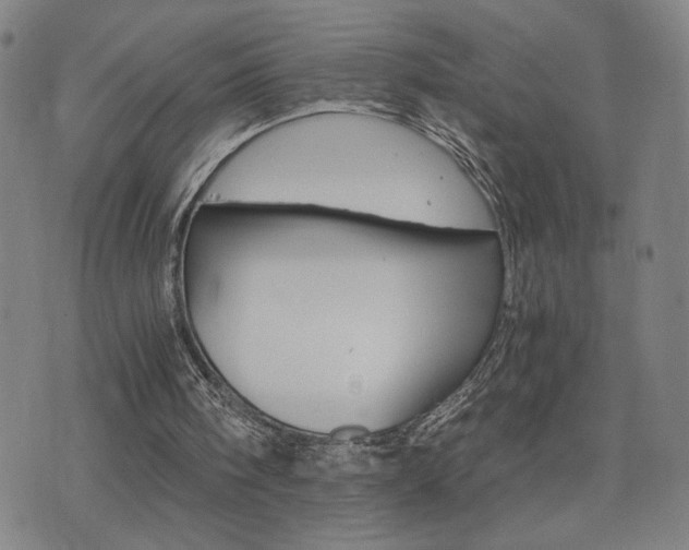 X0000075860098200609151236