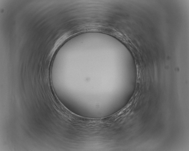 X0000075860099200609151236