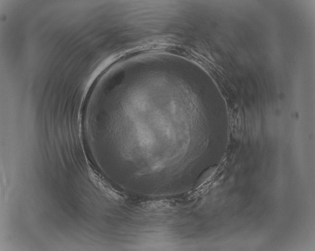 X0000075860100200609151236