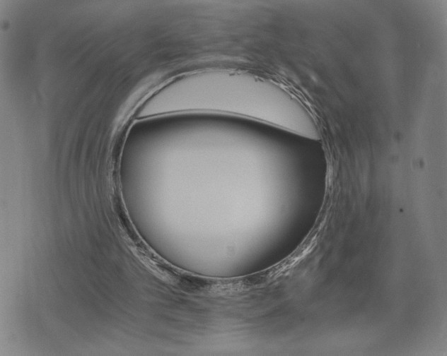 X0000075860101200609151236