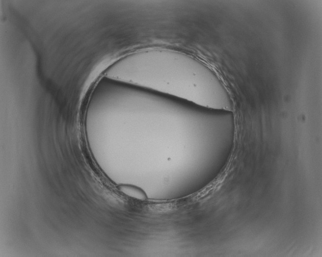 X0000075860102200609151236