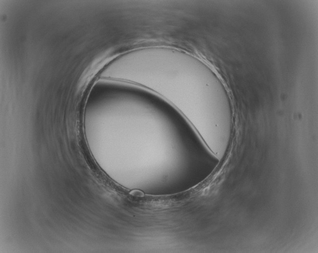 X0000075860103200609151236