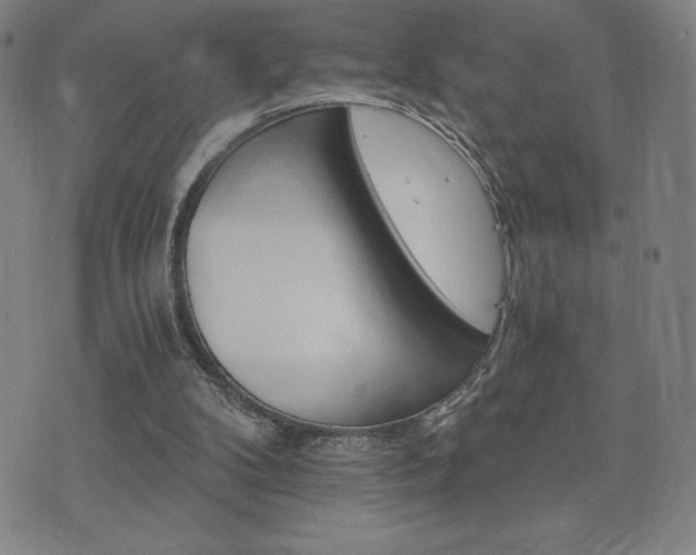 X0000075860104200609151236