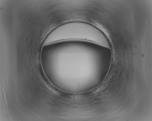 X0000075860105200609151236