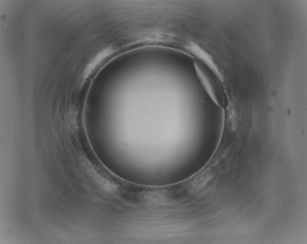 X0000075860106200609151236