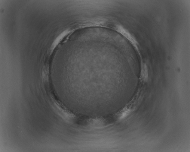 X0000075860107200609151236