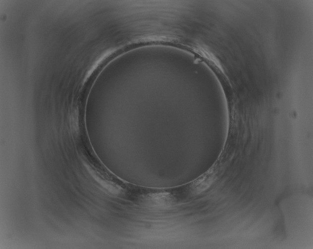 X0000075860108200609151236